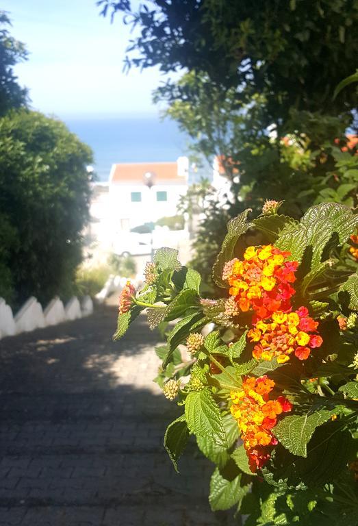 Ocean Villa With Private Pool Ericeira Bagian luar foto